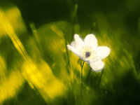 DSCF7350_s2 TWgrpt EVUmulti HK.jpg