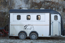 Rätselbild 98 Lösung.jpg