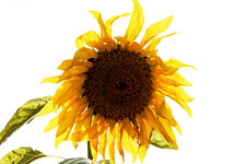 PANA0428_M_d-pixx.jpg PANA0428_M_d-pixx.jpg