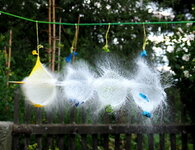 20170827_164859_Bildgröße ändern.jpg