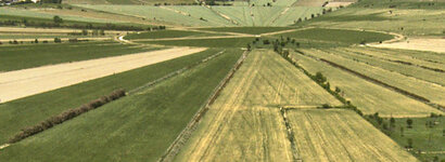 1117_cr ganz klein.jpg