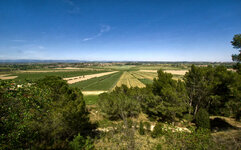 1117 originalgroß.jpg