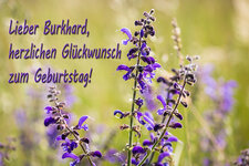 2P9A0239-1 text auflösung.jpg