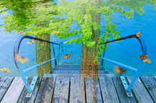 P100763_co.jpg P100763_co.jpg