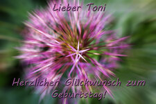 2P9A0541-1  text Toni auflösung.jpg