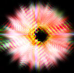 DSCN9832-Bea LRbea +IMG_7316 linear+formqu RWZ30+VZfarbraster8+RWZ30 2x auflösung.jpg DSCN9832-Bea LRbea +IMG_7316 linear+formqu RWZ30+VZfarbraster8+RWZ30 2x auflösung.jpg