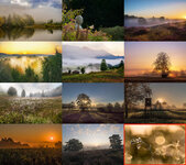 lieblingsbild_22_3_raster.jpg lieblingsbild_22_3_raster.jpg