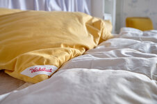 DSCF8646.jpg DSCF8646.jpg