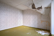 DSCF8666.jpg DSCF8666.jpg