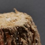 P1033355.jpg P1033355.jpg