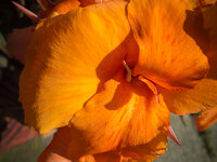 Rätselbild 126 c.jpg