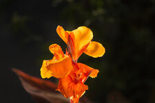 Rätselbild 126 Lösung.jpg