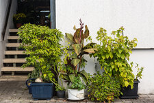 2P9A7280-1 auflösung.jpg