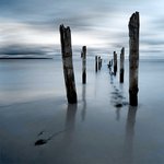 Kaulquappejpg.jpg Kaulquappejpg.jpg