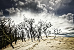 Test 2 (2).jpg