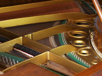 _1190356 aus RAW-1280.jpg