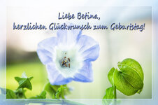 2P9A0474-1 CEort+dlc+form text Betina auflösung.jpg