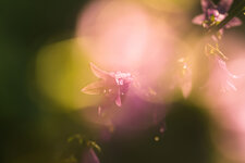 2P9A3510-1 auflösung.jpg