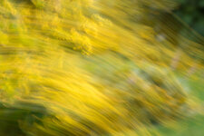 2P9A3252-1 auflösung.jpg