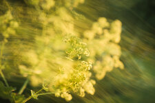 2P9A3253-1 auflösung.jpg