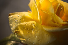 2P9A1574-1 auflösung.jpg