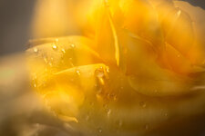 2P9A1575-1 auflösung.jpg