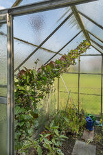 Rätselbild 131 Lösung.jpg