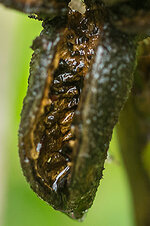 Rätselbild 132 b.jpg