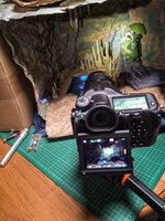 IMG_20221104_171811.jpg IMG_20221104_171811.jpg