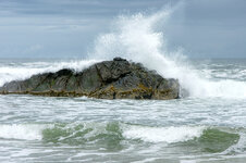06 Küste bei Tillamook_DSC09479.jpg 06 Küste bei Tillamook_DSC09479.jpg