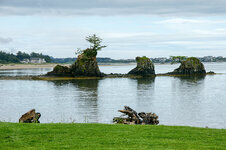 07 Siletz Bay_DSC09406.jpg 07 Siletz Bay_DSC09406.jpg
