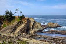 08 Cape Arago_DSC01882.jpg 08 Cape Arago_DSC01882.jpg