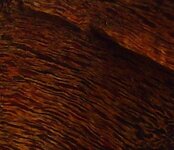 P1240252a-Ausschnitt.jpg