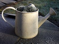P1240260-1280.jpg