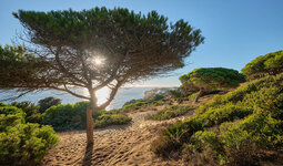 DSCF0370_k.jpg DSCF0370_k.jpg