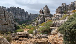 DSCF7865_k.jpg DSCF7865_k.jpg