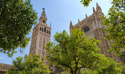 DSCF8264_k.jpg DSCF8264_k.jpg