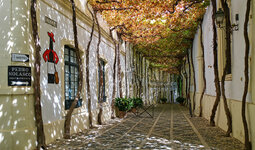 DSCF8889_k.jpg DSCF8889_k.jpg