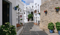 DSCF9033_k.jpg DSCF9033_k.jpg