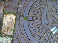 P1230576-Ausschnitt.jpg