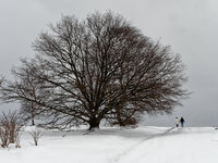 Januar.jpg Januar.jpg