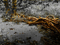 August.jpg August.jpg