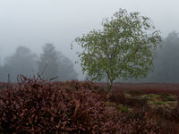 September.jpg September.jpg