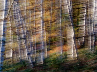 Oktober.jpg Oktober.jpg