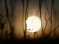 November.jpg November.jpg