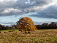 Dezember.jpg Dezember.jpg