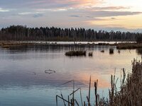 P2170074_raw_1280.jpg P2170074_raw_1280.jpg