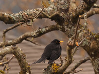 P2150050_1280.jpg P2150050_1280.jpg