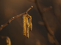 P2280191_1280.jpg P2280191_1280.jpg