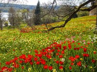 P4158508_raw_1280.jpg P4158508_raw_1280.jpg